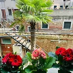 Queen Appartement *