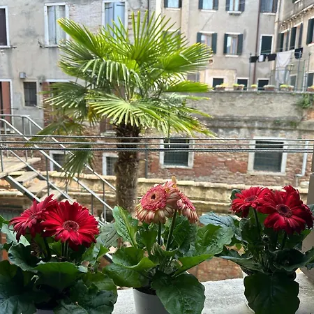 Appartement Queen